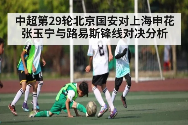 中超第29轮北京国安对上海申花张玉宁与路易斯锋线对决分析